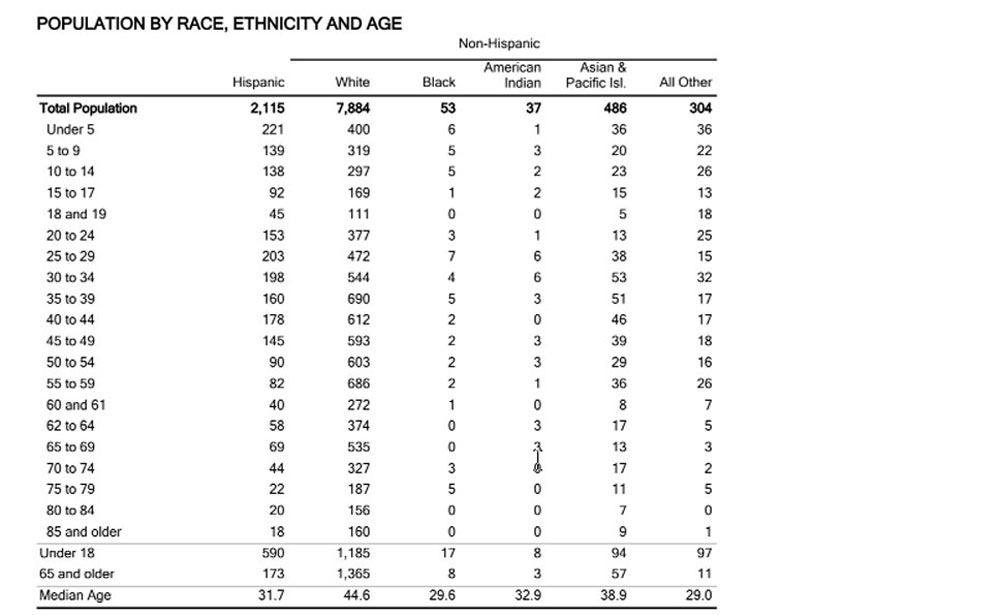 Population by race ethnicity
